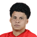 Emerson Urso