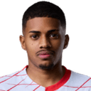 Bruninho